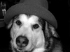 bw_hat