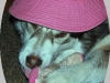 claire_hat